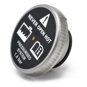 Bajaj Pulsar RS 200 Radyatör Kapağı Orijinal