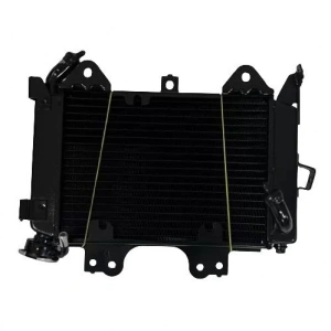 Bajaj Pulsar NS 200 Radyatör Orijinal