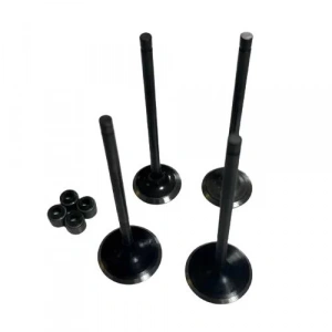 Bajaj Pulsar NS 200 Subap ve Keçe Seti Varroc