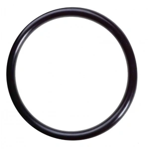 Bajaj Pulsar NS 200 Yağ Filtre Oringi