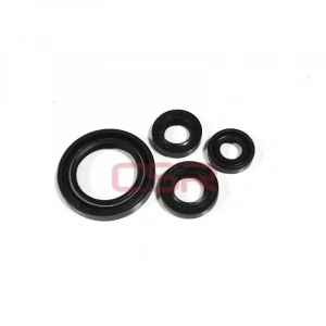 Bajaj Pulsar RS 200 Keçe 4lü Takım