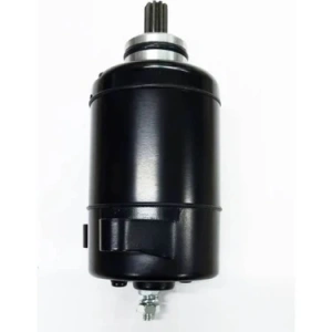 Bajaj Pulsar RS 200 Marş Motoru