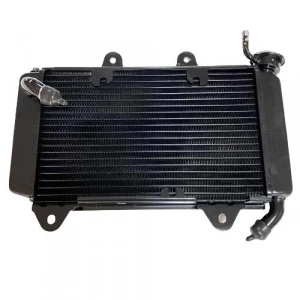 Bajaj Pulsar RS 200 Radyatör Komple Orijinal