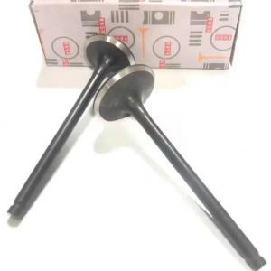 Hero Karizma Subap Takım Usha