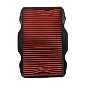 Honda CB 125 F Hava Filtresi Oem