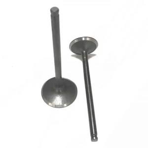 Honda CBF 150 Subap Takım Usha