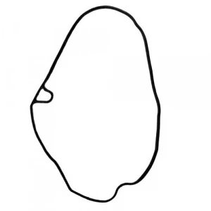 Honda Pcx (2021-2024) Külbütör Oringi Orijinal