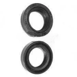 Honda Titan 125 Amortisör Keçesi Takım Oem