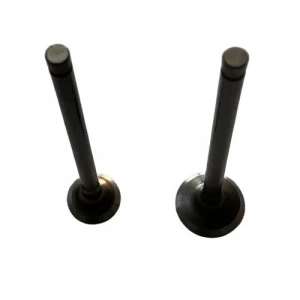 Honda Today Subap Takım Oem