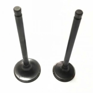 Kuba Golf Subap Takım