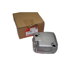 Kuba Zenzero Külbütör Kapağı