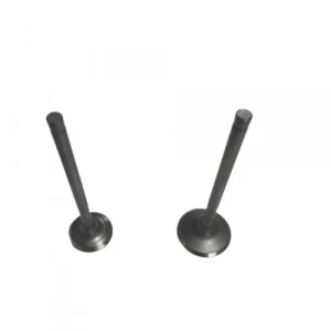 Kuba Zenzero Subap Set