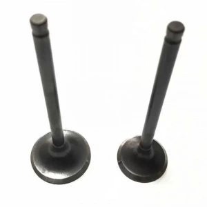 Kymco Agility 125 Subap Takım