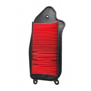 Mondial Fury 110 Hava Filtresi