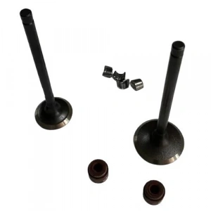 Honda Pcx (2011-2020) Subap