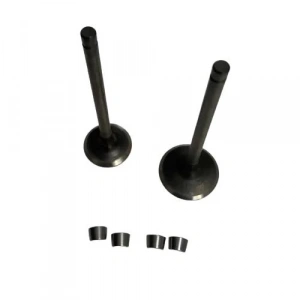 Honda Pcx (2011-2020) Subap Takım (Tırnaklı) Dadong