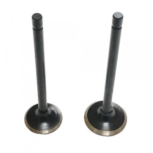 Suzuki AN 125 Subap Takım