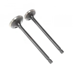 Suzuki AN 125 Subap Takım Usha