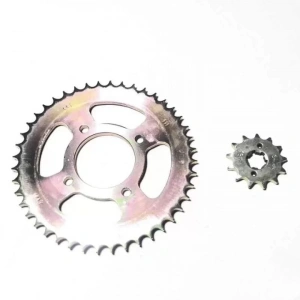 TVS Apache RTR 150 Arka Dişli ve Ön Oem