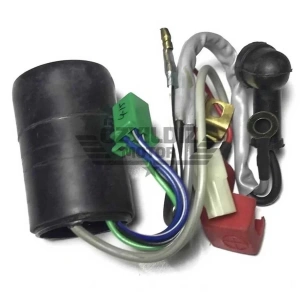 TVS Apache RTR 150 Marş Rolesi Minda Kablolu