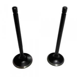 TVS Apache RTR 180 Subap Takım