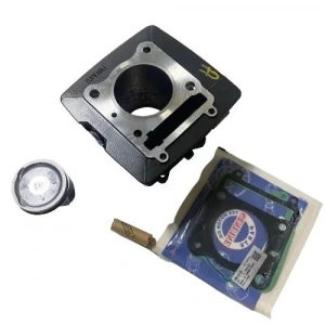 TVS Apache RTR 200 Silindir Dolu Orijinal