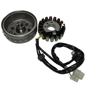 TVS Apache RTR 200 Statör ve Volant (Manyeto) Orijinal