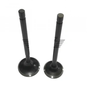 TVS Jupiter 110 Subap Takım Usha