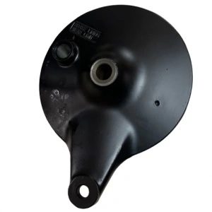 TVS Raider 125 Arka Kampana Orijinal