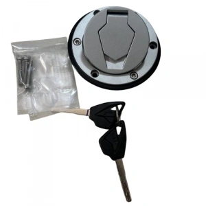 TVS Raider 125 Depo Kapağı  Orijinal