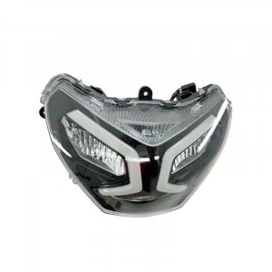 TVS Raider 125 Far Orijinal