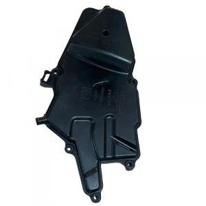 TVS Raider 125 Hava Filtre Kapağı Orijinal