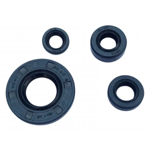 TVS Raider 125 Keçe Seti