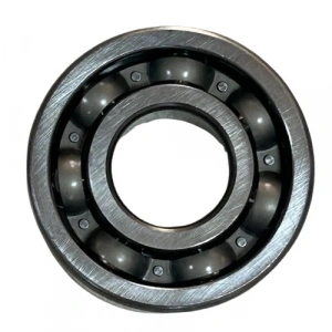 TVS Raider 125 Krank Bilyası (Rulman) Orijinal