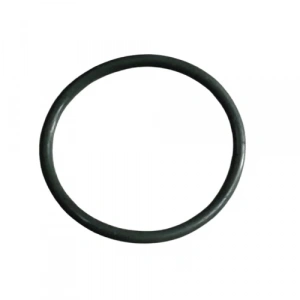 TVS Raider 125 Manifold Oringi Orijinal