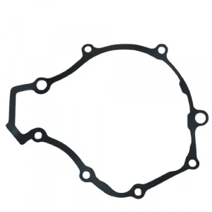 TVS Raider 125 Manyeto Kapak Contası Orijinal