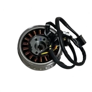 TVS Raider 125 Statör ve Volant (Manyeto) Orijinal