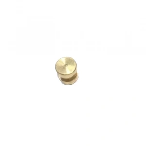 TVS Scooty Pep Gaz Teli Pulu