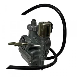 TVS Scooty Pep+ Karbüratör Orijinal