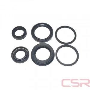 TVS Scooty Pep Keçe 6lı Takım Orijinal