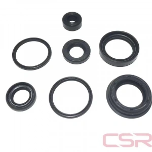 TVS Scooty Pep Keçe 7li Takım