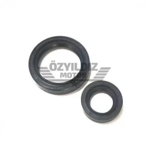 TVS Scooty Pep Krank Keçesi Takım