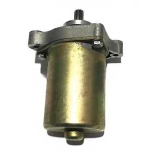 TVS Scooty Pep Marş Motoru Orijinal