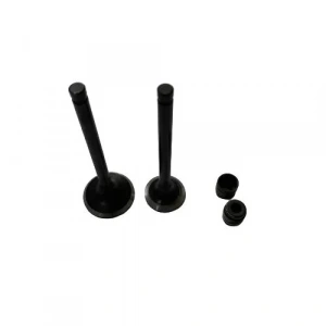 TVS Scooty Pep Subap ve Keçe Seti Varroc