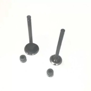 TVS Scooty Pep Subap ve Keçesi Takım Orijinal