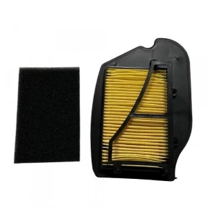 TVS Wego 110 Hava Filtresi Mahle