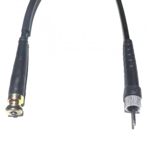 TVS Wego 110 Kilometre Teli SB YM