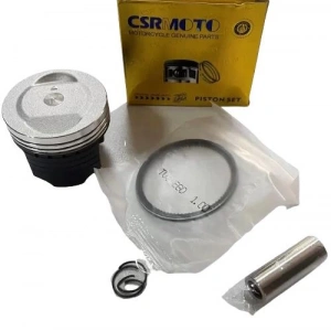 TVS Wego 110 Piston Sekman 100