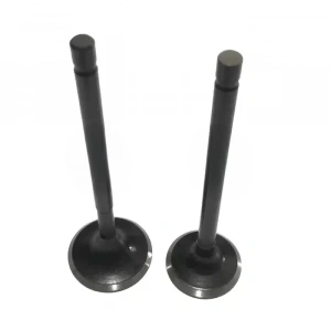 TVS Wego 110 Subap ve Keçe Takım Orijinal