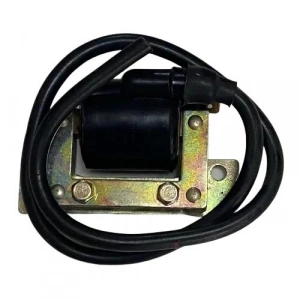 TVS XL 100 Ateşleme Bobini